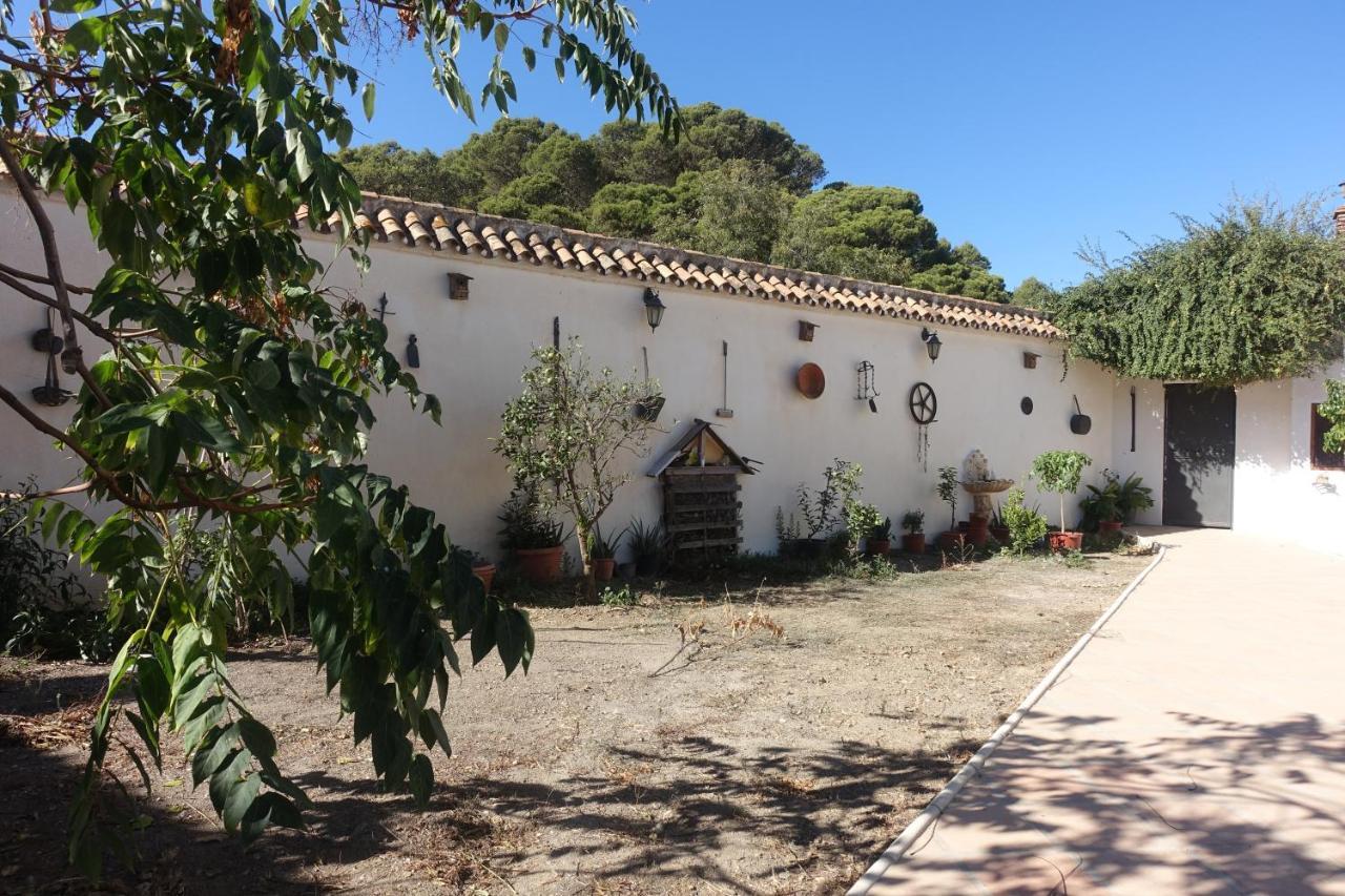Galwey, Tourist Appartments With Wifi 马拉加 外观 照片