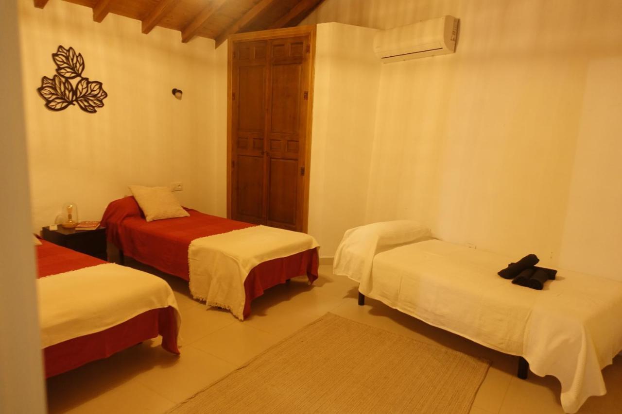 Galwey, Tourist Appartments With Wifi 马拉加 外观 照片