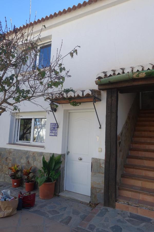Galwey, Tourist Appartments With Wifi 马拉加 外观 照片