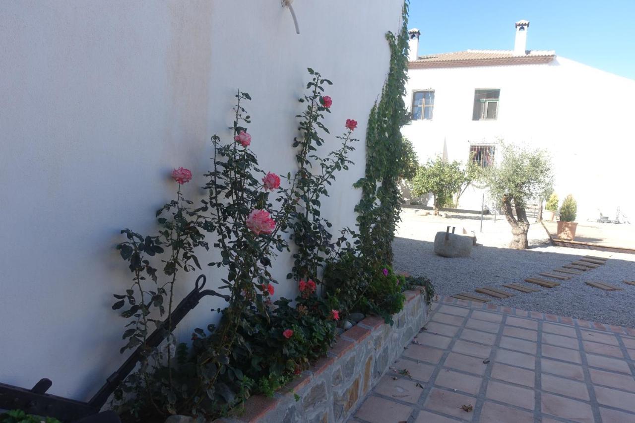Galwey, Tourist Appartments With Wifi 马拉加 外观 照片